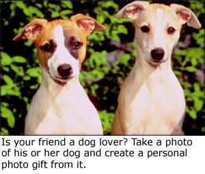 Cute photo gifts: Photo of two cute doges with bushes in the backgound.