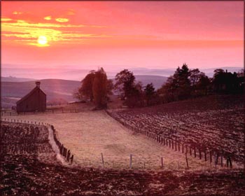 Picture of farmhouse in stone in beautiful pink sunrise.