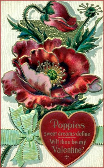 Dark red poppies on vintage Valentines Day picture.